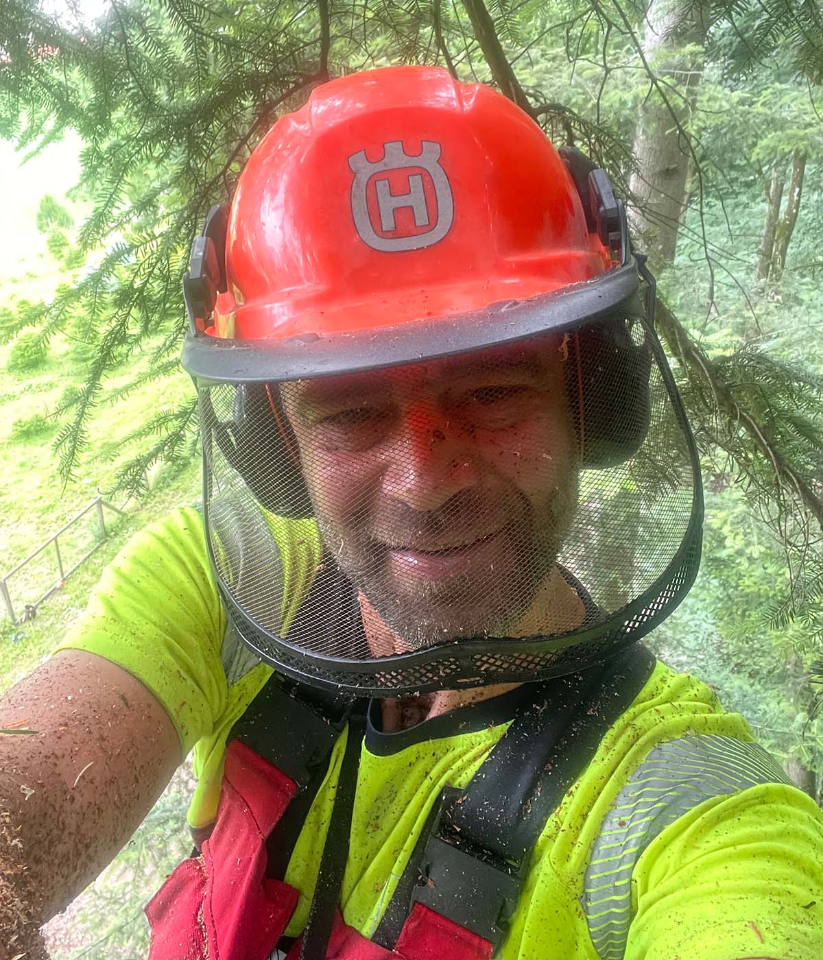 Spezialbaumfällung Baumabtrag Problembaumfällung Spezialbaumfällung Baumabtrag Problembaumfällung